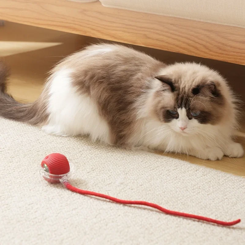 Cat Interactive Ball Toy Automatic - Image 2